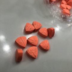 Buy Cp Orange Tesla XTC Pills